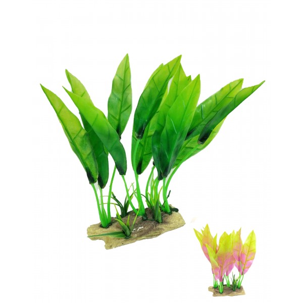 ΔΙΑΚΟΣΜΗΤΙΚΟ ΦΥΤΟ ΕΝΥΔΡΕΙΟΥ